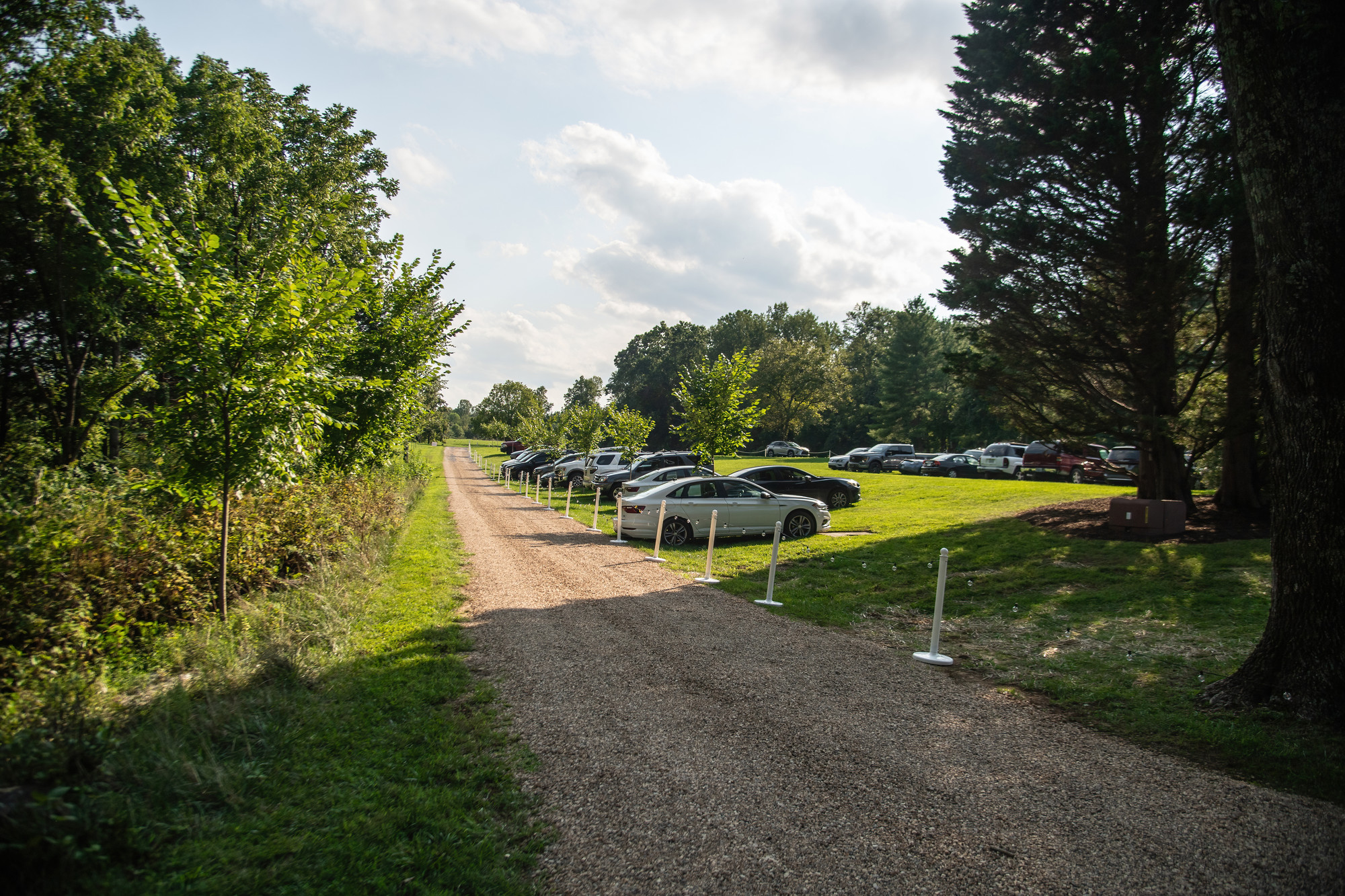 RS66857_DVN_4326-lpr